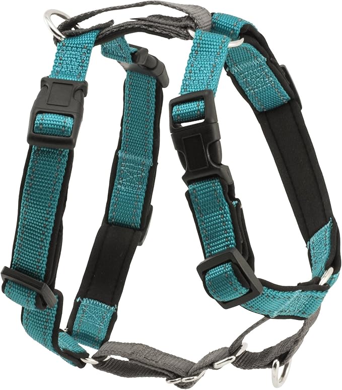 PetSafe 3 in 1 Dog Harness - No Pull Solution for Dogs - Reflective Dog Harness - Front D-Ring Clip Helps Stop Pulling - Comfortable Padded Straps - Top Handle Enhances Control - Teal - Large-Mewly Pet