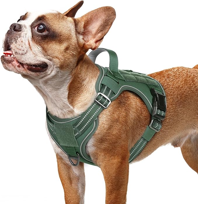 rabbitgoo Dog Harness Small Sized No Pull, Tactical Service Pet Vest with Molle and Control Handle, Adjustable and Reflective Military Harness for Easy Walking and Training, Green, S-Mewly Pet