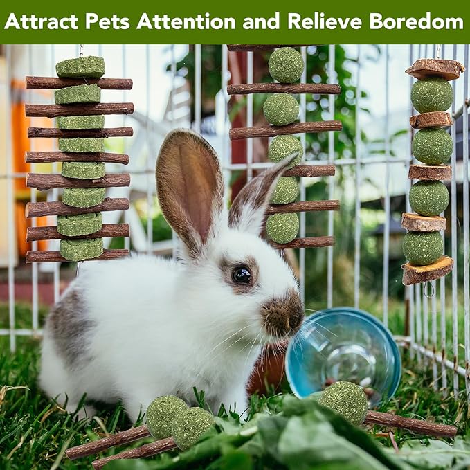 3 Pcs Bunny Chew Toys with 3 Pcs Rabbit Chew Lollipop for Teeth Grinding, Improve Dental Health, Treats for Rabbits Guinea Pigs Chinchillas Bunnies Hamsters-Mewly Pet