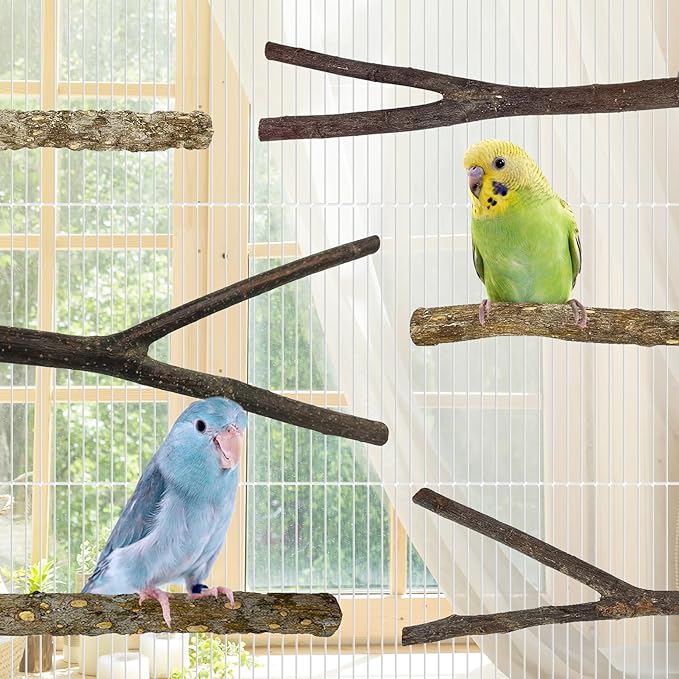 kathson 8 PCS Natural Bird Wood Perch Parakeet Standing Toy Sticks Parrot Paw Grinding Branches Cockatiels Cage Chewable Accessories for Conures Macaws Finches-Mewly Pet