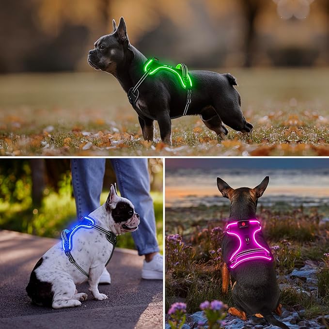 Rechargeable LED Dog Harness - No Pull, 4 Point Adjustable, Lighted Vest for Small/Medium/Large/X-Large Dogs-Mewly Pet