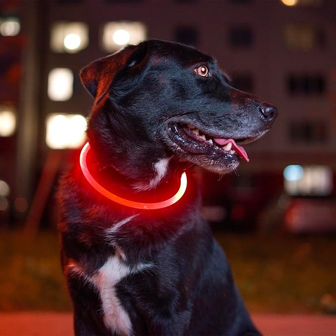 Led Dog Collar, BSEEN USB Rechargeable Flash Dog Necklace Light, Pet Safety Collar Makes Your Beloved Dogs Be Seen at Night for Small Medium Large Dogs(Red)-Mewly Pet