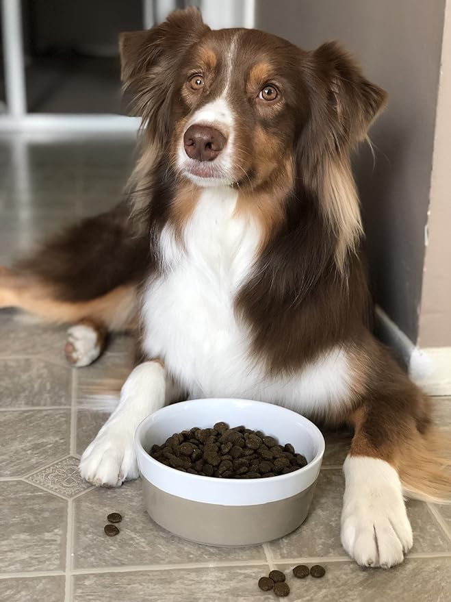 Waggo Dipper Ceramic Dog Bowl for Small and Large Breeds - Heavyweight and Durable Pet Food and Water Dish Crock, Dishwasher Safe, Modern (Vintage Grey, Small)-Mewly Pet