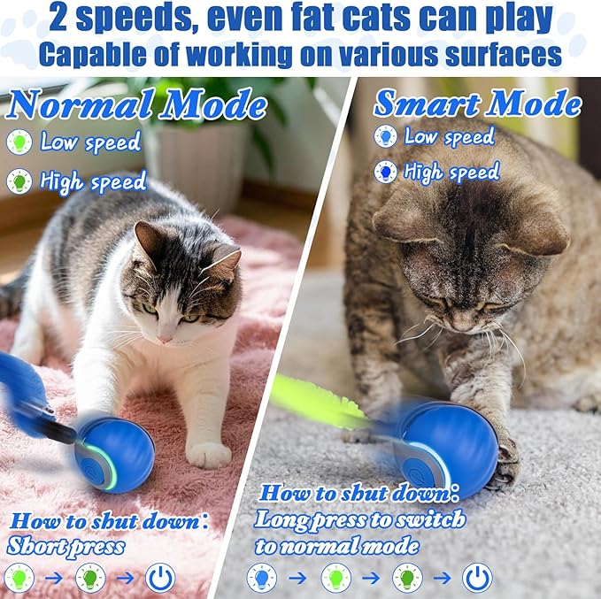 AIERSA Interactive Cat Toys for Indoor Adult Cats, Automatic Self-Play Cat Ball Toy for Kitten to Keep Them Busy, Electric Speed Tail Moving Cat Toy with 3 Tails and 4 Springs (Blue)-Mewly Pet