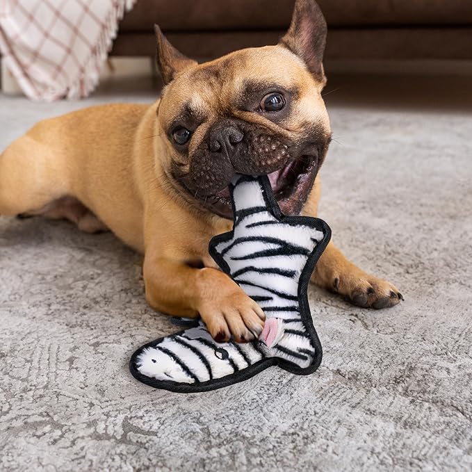 SHARLOVY No Stuffing Dog Toys Crinkle Squeaky, Long Lasting Chews for Aggressive, Durable Plush Dog Puppy Chew Toys for Teething, with 6 Tough Layers for Small Medium Large Breed-Mewly Pet