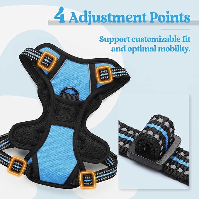 rabbitgoo Dog Harness No Pull with 2 Leash Clips, Adjustable Soft Padded, Reflective Oxford No Choke Pet Vest with Easy Control Handle for Puppy, Blue, XS-Mewly Pet