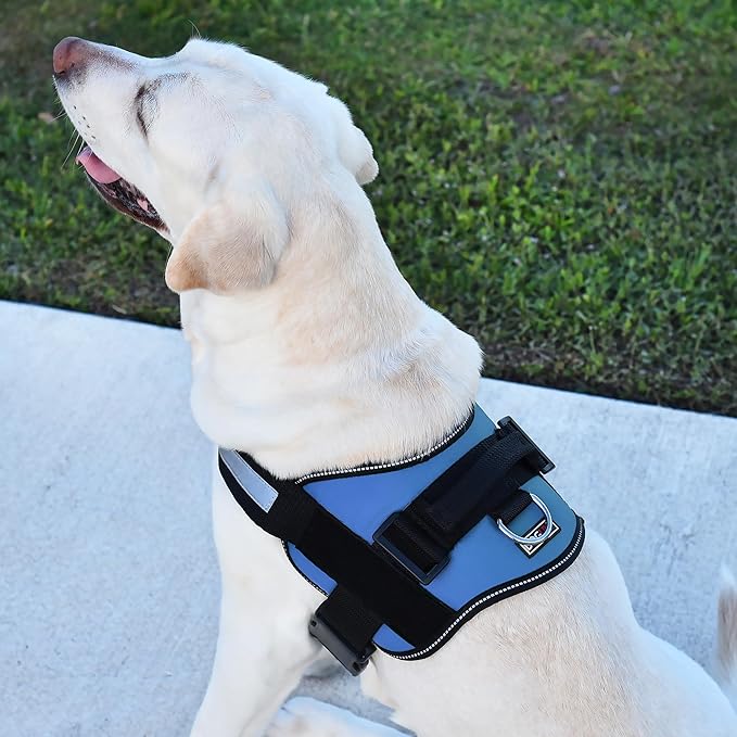 Dogline Dog Harness, Reflective No-Pull Adjustable Vest with Handle for Walking, Training, Breathable, No - Choke Harness for Small, Medium or Large Dogs Room for Patches Girth 27 to 34 in Cyan Blue-Mewly Pet