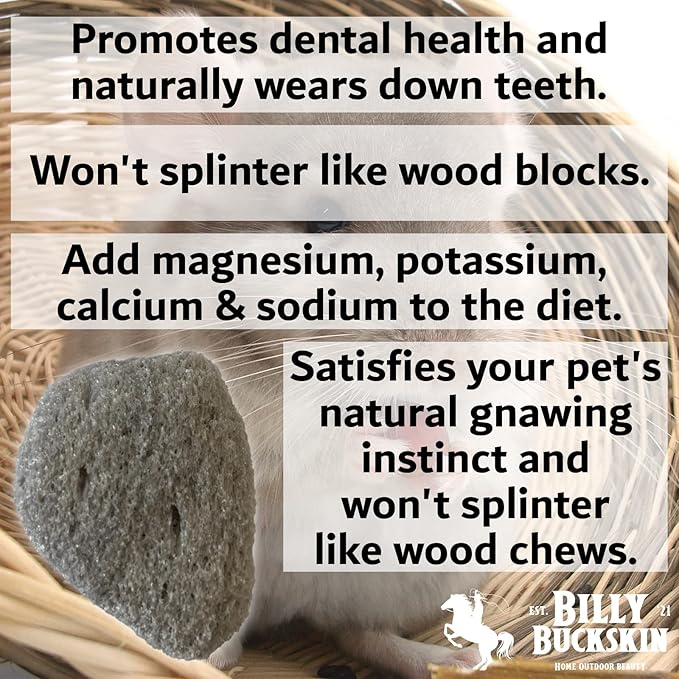 Chew Toys for Chinchilla, Lava Block Toys for Small Pet Animals like Rat, Mice, Bunny, Hamster, Degus, Gerbils, Pumice Blocks, Guinea Pig Toy, Rabbit Chew Toy by Billy Buckskin - Pack of 8-Mewly Pet