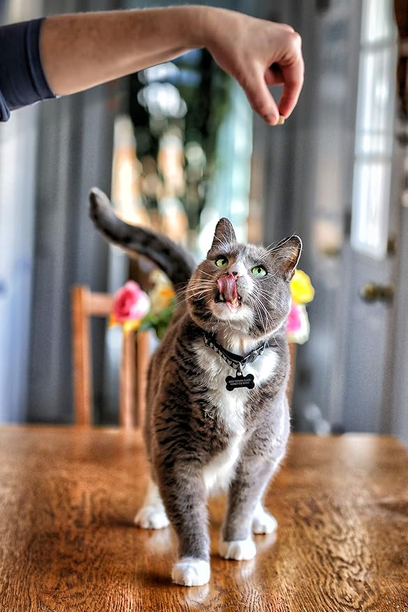 Smile Daily Dental Health Soft Chews for Cats, Support Healthy Teeth and Fresh Tongue with Catnip and Green Tea, Prebiotics, and Chlorophyll for Fresh Breath-Mewly Pet