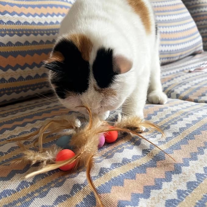 Cat Toy Balls, 5 PCS Colorful Feather Bouncy Balls for Cats No Noise Interactive Kitten Toys Cat Exercise Ball, Safe for Your Kitty (A)-Mewly Pet