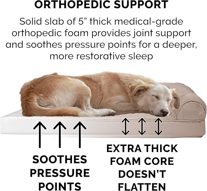 Furhaven Orthopedic Dog Bed for Large Dogs w/ Removable Bolsters & Washable Cover, For Dogs Up to 125 lbs - Plush & Suede Sofa - Almondine, Jumbo Plus/XXL-Mewly Pet
