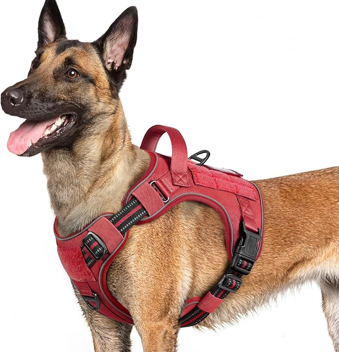 rabbitgoo Dog Harness for Large Dogs No Pull, Tactical Service Pet Vest with Molle and Control Handle, Adjustable and Reflective Military Harness for Easy Walking and Training, Red, L-Mewly Pet
