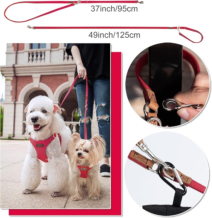 Puppytie No Pull Small Dog Harness with Multifunction Dog Leash,Lightweight Soft Adjustable No Choke Escape Proof Pet Harness Vest Pet Harness Vest,red-Camellia,S-Mewly Pet