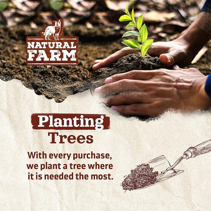 Natural Farm Odor-Free Thin Bully Sticks (12”, 25-Pack) All-Natural Long-Lasting Dog Chews, 100% Beef Pizzle, Grass-Fed, Grain-Free, Protein for Muscle Development & Energy, Perfect for Large Dogs-Mewly Pet