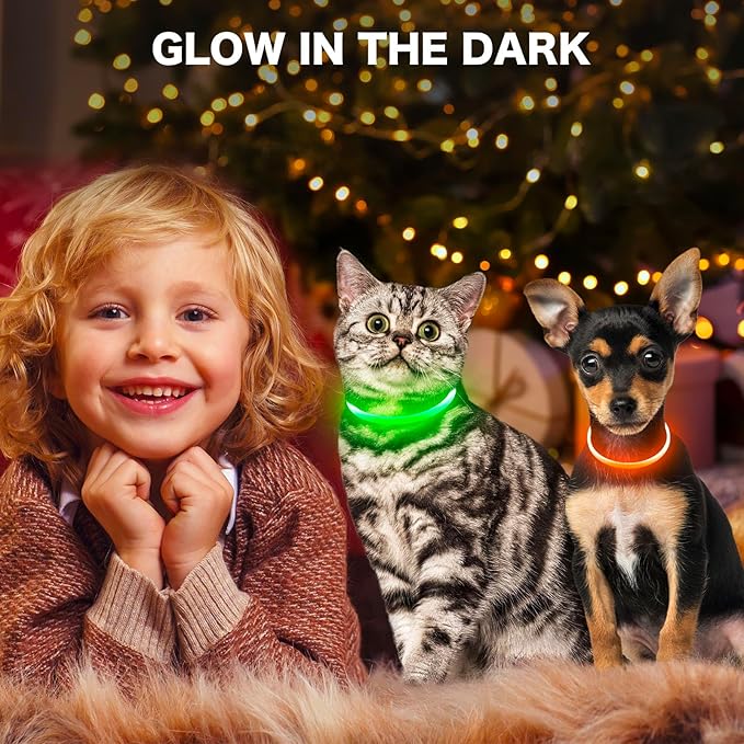 BSEEN Light Up Dog Collar - Rainproof LED Dog Collar Rechargeable - TPU Cuttable Glowing Pet Collar for Small Puppies& Cats, Safety Dog Lights for Night Walking& Camping (XS- Orange 40cm)-Mewly Pet