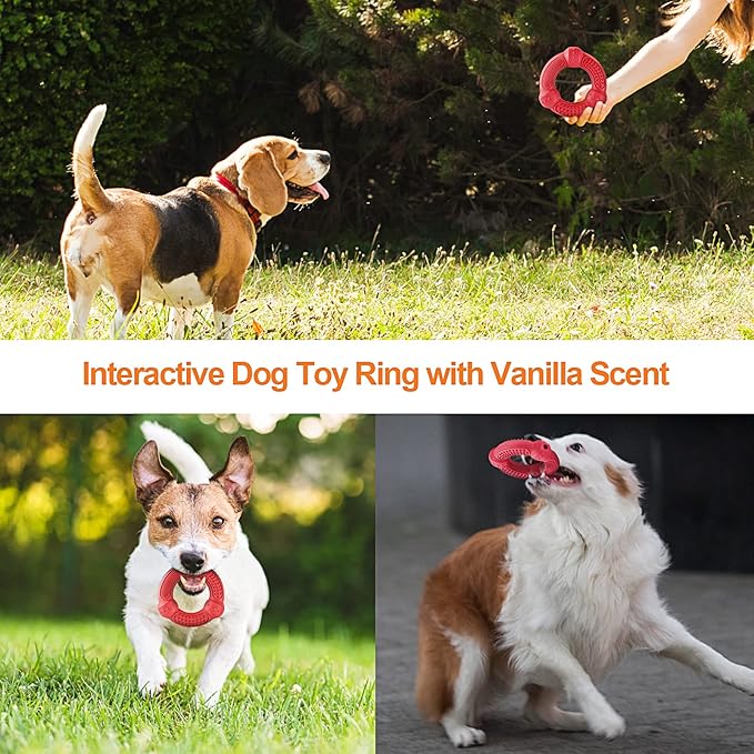 Dog Chew Toys 4 Pack, Dog Toys for Aggressive Chewers Small Medium Large Breed, Multifunctional Teeth Cleaning and Gum Massage, Tough Dog Toys with Natural Rubber for Puppy and Medium Large Dog-Mewly Pet