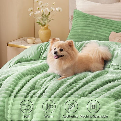 BEDELITE Fleece Queen Comforter Set -Super Soft & Warm Fluffy Green Bedding, Luxury Fuzzy Heavy Bed Set for Winter with 2 Pillow Cases