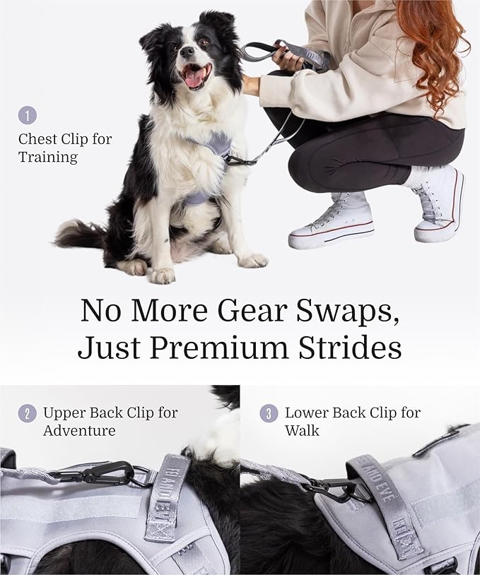 2025 New Edition, Fei & Eve MagEase Dog Harness - 3-Second Magnetic Buckles | 3-Point No-Pull Control | Heavy-Duty 900D Nylon | Dual Safety Handles | Breathable Mesh | Adjustable Fit | Medium, Gray-Mewly Pet