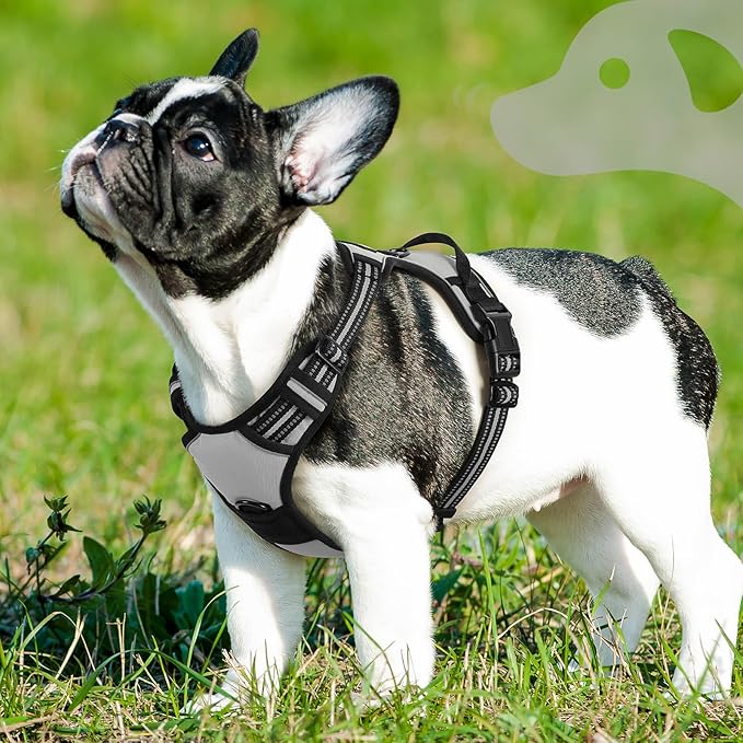 Eagloo Dog Harness Small Sized Dog, No Pull Service Vest with Reflective Strips and Control Handle, Adjustable and Comfortable for Easy Walking, No Choke Pet Harness with 2 Metal Rings, Grey, S-Mewly Pet