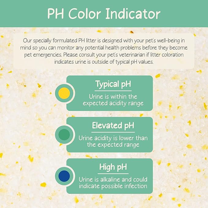 Kitty City PH Crystals Cat Litter 6LB-Mewly Pet