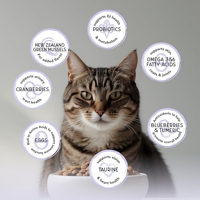 Blackwood Bounty Dry Cat Food, Cod & Carp Recipe for All Life Stages, 2 Pound Bag, High Protein, Grain Free-Mewly Pet