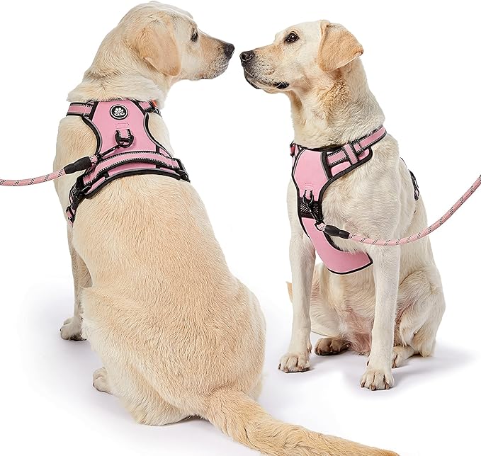 NESTROAD No Pull Dog Harness,Adjustable Oxford Dog Vest Harness with Leash,Reflective No-Choke Pet Harness with Easy Control Soft Handle for Small Dogs(X-Small,Pink)-Mewly Pet