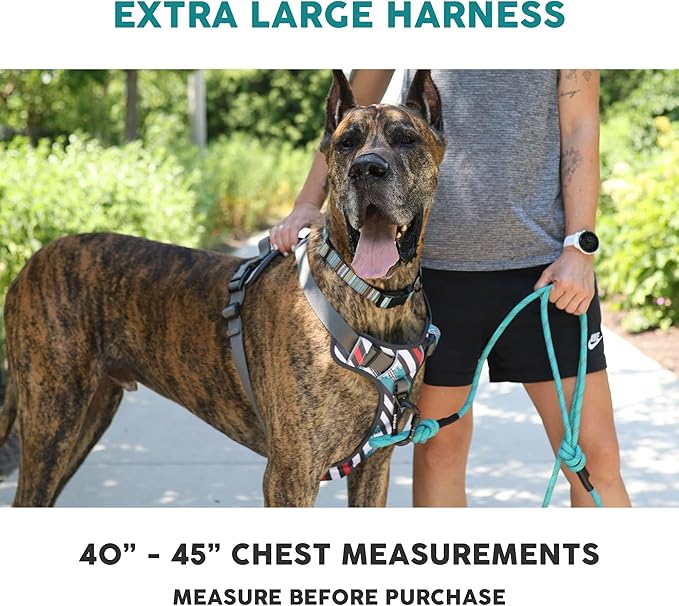 Embark Adventure Dog Harness, Reflective Trim XL Dog Harness for Extra Large Dogs No Pull - Military Grade Nylon, 2 Leash Clips & Gel Lined Handle. Soft & Padded Puppy Dog Harnesses for Any Breed-Mewly Pet