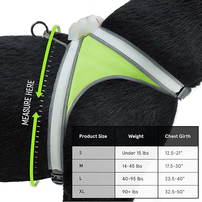 Noxgear LightHound – Revolutionary Illuminated and Reflective Harness for Dogs Including Multicolored LED Fiber Optics (USB Rechargeable, Adjustable, Lightweight, Rainproof) (Small)-Mewly Pet