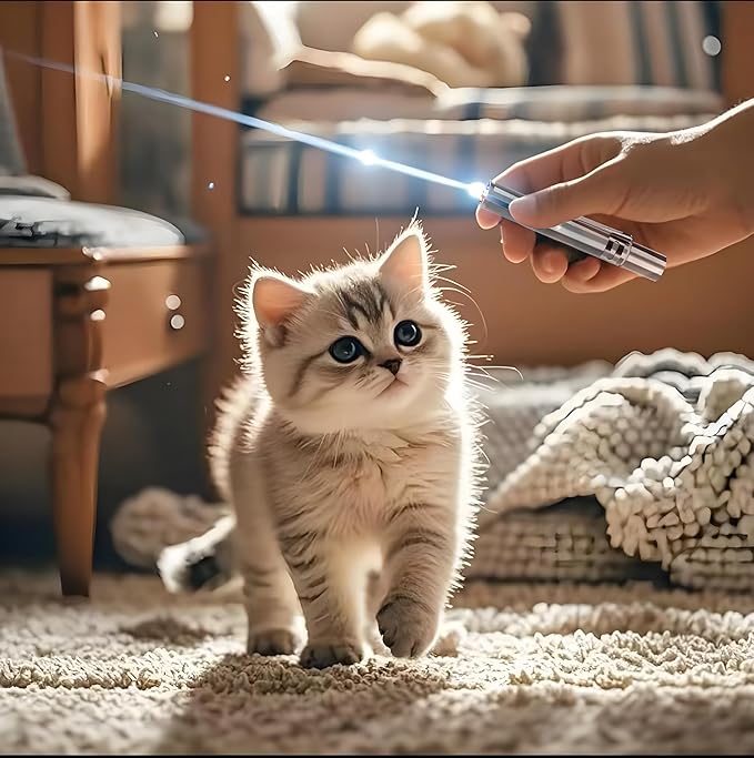 Cat Toy Pointer for Indoor, USB Rechargeable Toy, 3 Light Colors Cat Interactive Toys for Dogs, Cats, Pet Chase Toy for Fun Playing Training Exercise Indoors-Mewly Pet
