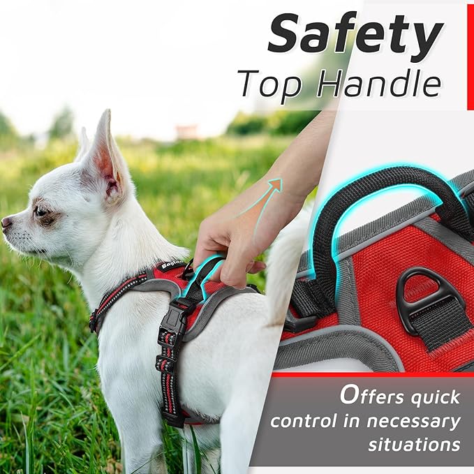 Eagloo Small Dog Harness No Pull, Service Vest with Reflective Strips and Control Handle, Adjustable and Comfortable for Easy Walking, No Choke Pet Harness with 2 Metal Rings, Red, XS-Mewly Pet