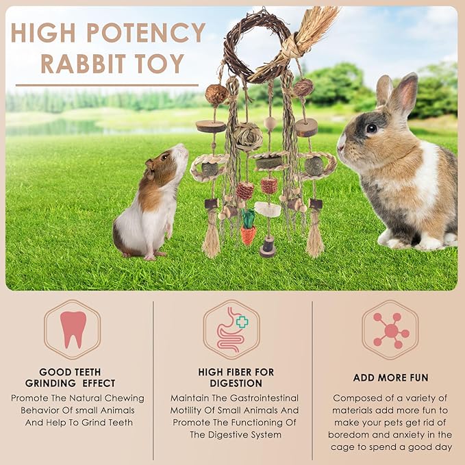 Bissap Bunny Chew Toy, Rabbits Cage Hanging Chew Toys and Treats Rattan Ring with Snacks Water Grass Wooden Block Carrot for Guinea Pigs Chinchillas Hamsters Rats and Other Small Pets Teeth Grinding-Mewly Pet