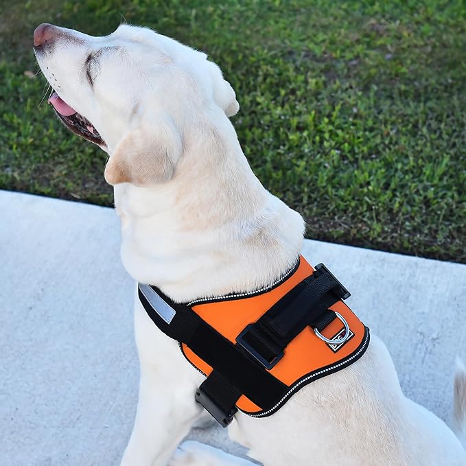 Dogline Dog Harness, Reflective No-Pull Adjustable Vest with Handle for Walking, Training, Breathable, No - Choke Harness for Small, Medium or Large Dogs Room for Patches Girth 22"-28" in Orange-Mewly Pet