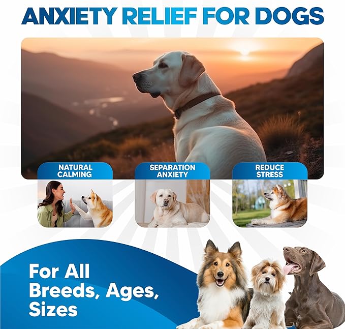 Dog Anxiety Relief - Faster Absorption Than Hemp Calming Chews for Dogs - Dog Calming Chews Alternative - Hemp Oil and Melatonin for Dogs - Liquid Dog Calming Treats for Thunder, Fireworks, Sleep Aid-Mewly Pet