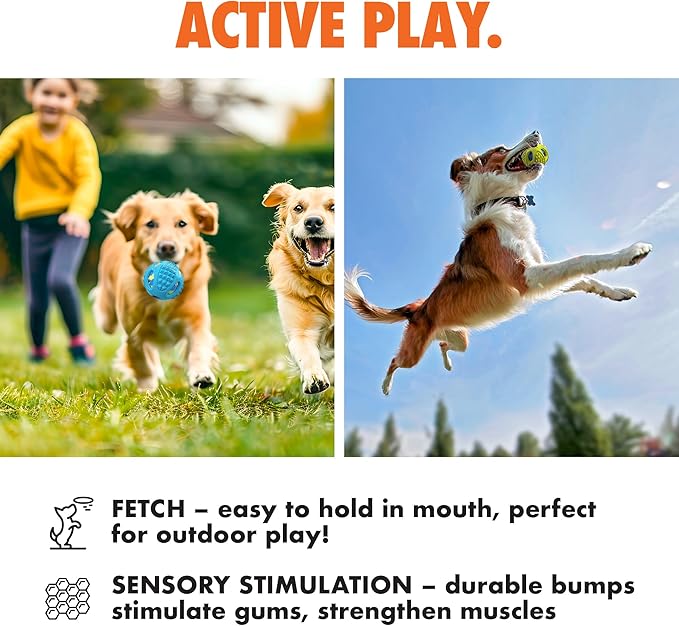 Max Fusion with Nike Grind, Arlee Meteor Dog Toy, Chew Toy for Play, Fetch, Tug, M-Mewly Pet