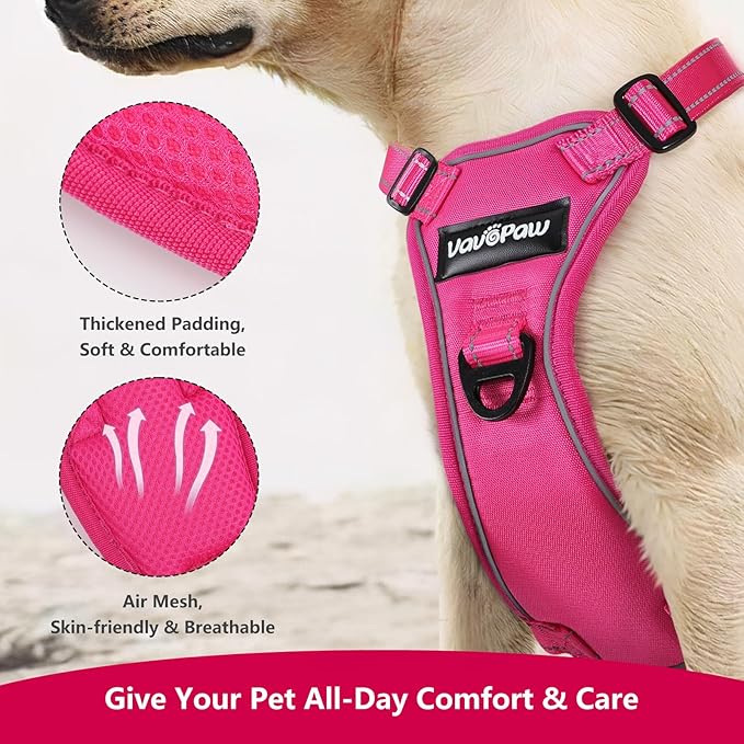 Dog Seat Belt Harness for Car, Dog Car Harness Adjustable Mesh Breathable & Dog Seatbelt Safety Tether with Elastic Bungee for Small Medium Large Pets(Rose, M)-Mewly Pet