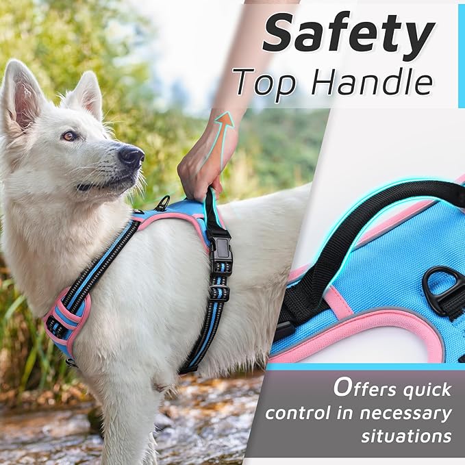 Eagloo Dog Harness for Large Dogs, No Pull Service Vest with Reflective Strips and Control Handle, Adjustable and Comfortable for Walking, No Choke Harness with 2 Metal Rings, Pink & Blue, M-Mewly Pet