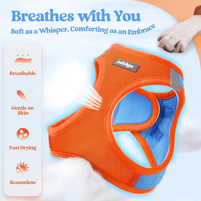 rabbitgoo Dog Harness Small Sized and Leash Set, Step in Soft Light Puppy Vest, Breathable Mesh Pet Harness, Reflective for Safe Easy Walking, Blue & Orange XS-Mewly Pet