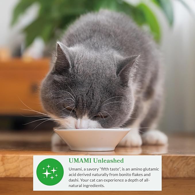 INABA Dashi Delights for Cats, 2.5 Ounce Cup, 6 Cups Total, Chicken with Tuna & Salmon Recipe-Mewly Pet