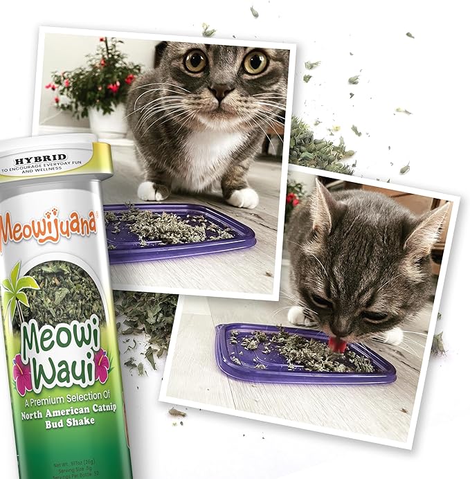 Meowijuana Pickle Bundle | Get Kickin' Refillable Spicy Pickle Toy and Meowi-Waui Catnip | Promotes Play and Cat Health | Includes North American Organic Catnip-Mewly Pet