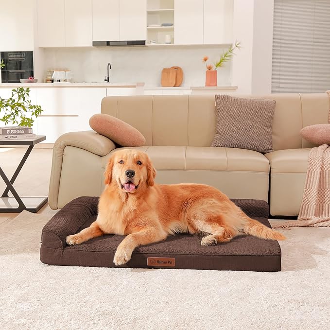 Orthopedic Dog Beds Large Sized Dog, 3 Inch Memory Foam Pet Bed for Medium and Large Dogs, Washable Removable Cover, Nonskid Bottom, Waterproof, 44x32 Inches XXL Brown Grey-Mewly Pet