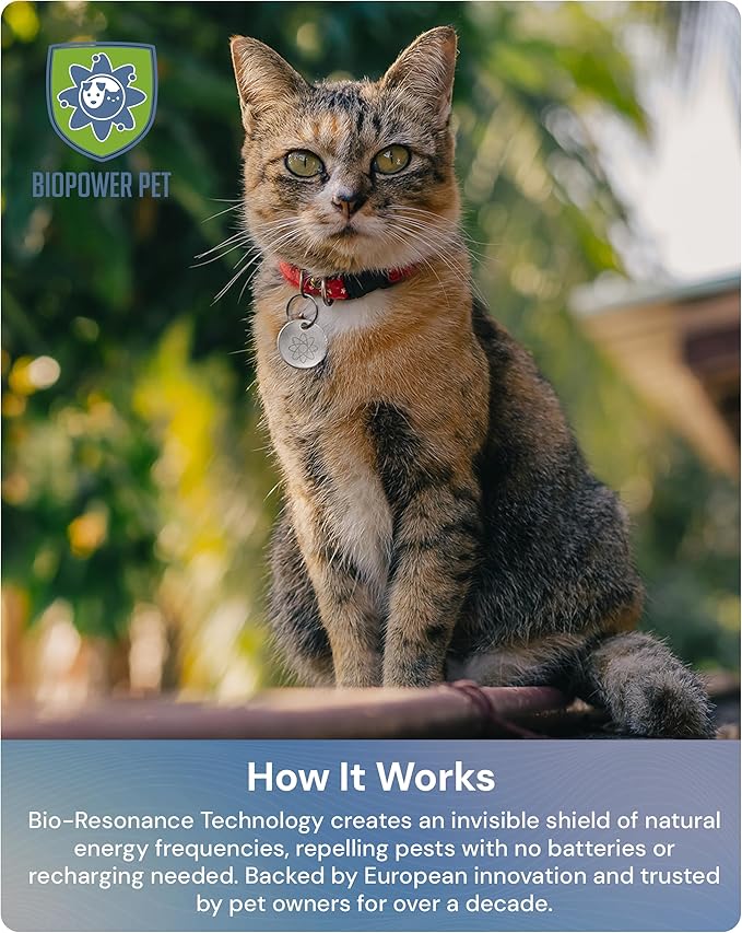 Natural Flea & Tick Repellent Collar Tag for Dogs & Cats – BioPower Pet Shield – Safe for Pets When Used as Directed – Lasts 1 Full Year - Regular Tag (1Pack)-Mewly Pet