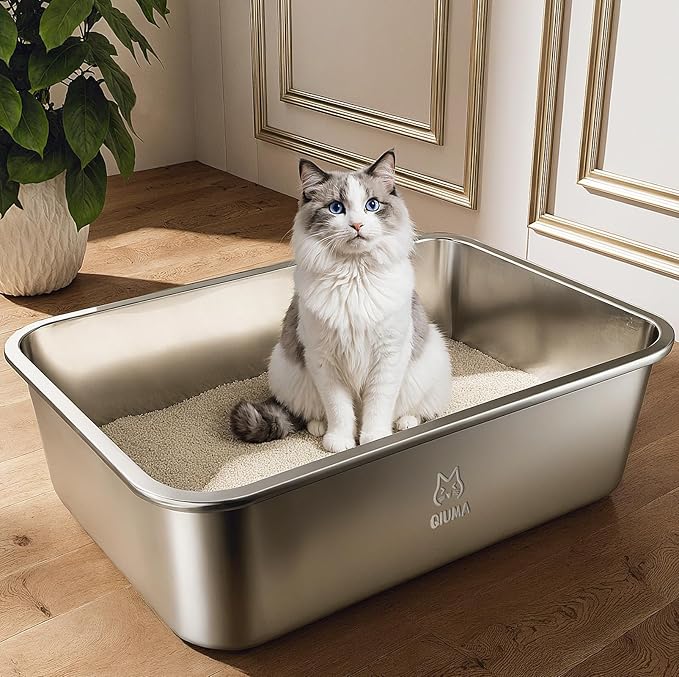 Stainless Steel Litter Box, Large Metal Cat Litter Box with High Sided for Big and Small Cats, Kitty Litter Boxes, Non-Stick, Easy to Clean, Odor-Free, Small Cat Toilet-Mewly Pet