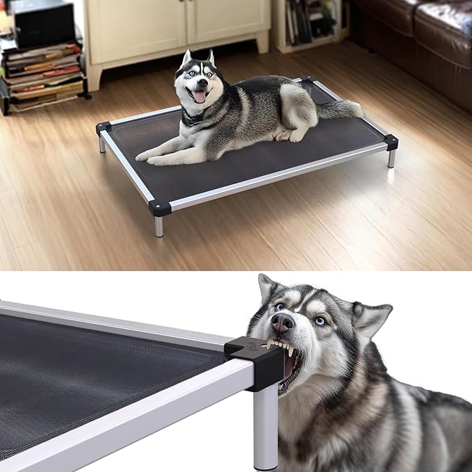FXW TitanNest Chew-Proof Elevated Dog Bed, Raised Cot for Indoor/Outdoor/Camping Use, Durable & Waterproof Cooling Pet Bed for Medium Dogs, 42.0" L x 27.0" W x 5.0" H, Black-Mewly Pet