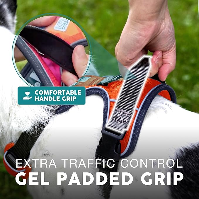 Embark Adventure Dog Harness, Reflective Trim No Pull Dog Harnesses for Small Sized Dogs - Military Grade Nylon, Front Clip with Gel Lined Handle. Soft & Padded Puppy-Mewly Pet