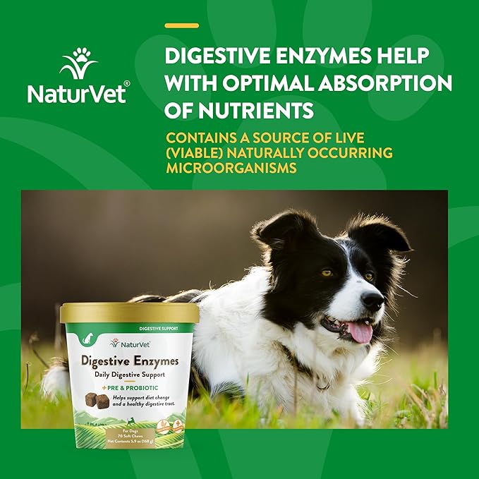NaturVet – Digestive Enzymes - Plus Probiotics & Prebiotics – Helps Support Diet Change & A Healthy Digestive Tract – for Dogs (Soft Chews, 70 Count)-Mewly Pet