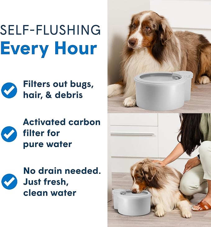 Always Full® 9" Pet Water Bowl and Wall Unit Bundle – Self-Refilling, Clean Filtered Water, Easy Home Connection, App-Enabled Hydration Tracking, Cat and Dog Water Bowls-Mewly Pet
