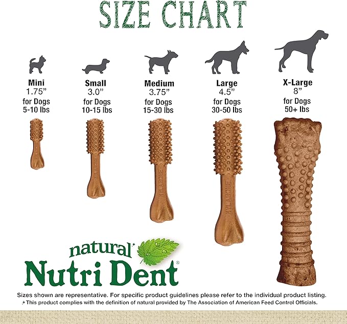 Nylabone Nutri Dent Dog Dental Chews - Natural Dog Teeth Cleaning & Breath Freshener - Dental Treats for Dogs - Filet Mignon Flavor, Mini (160 Count)-Mewly Pet