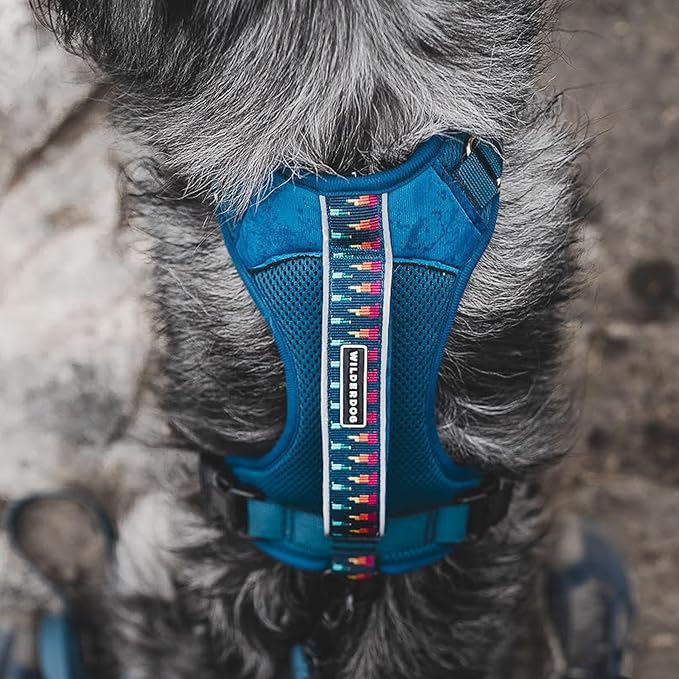 Wilderdog Lightweight Dog Harness with Reflective Straps - Medium - Pacific Blue-Mewly Pet
