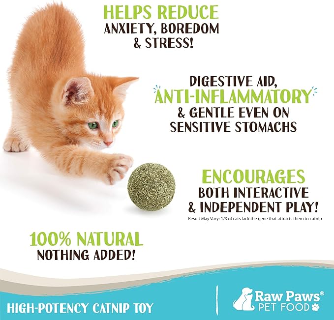 Raw Paws Catnip Balls for Cats, (6-Count) - Interactive Cat Toy for Indoor Cats - Cat Nip Licking Balls-Mewly Pet