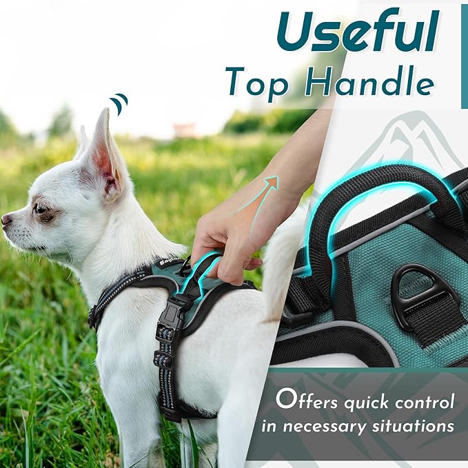 Eagloo Small Dog Harness No Pull, Service Vest with Reflective Strips and Control Handle, Adjustable and Comfortable for Walking, No Choke Pet Harness with 2 Metal Rings, Dark Green, XS-Mewly Pet